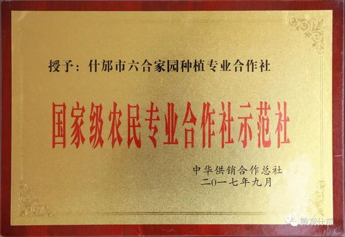 什邡品牌荣获“中国名优产品养生茶金奖” 养生保健之优选